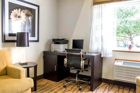 Sleep Inn & Suites Charles City - Renee 2