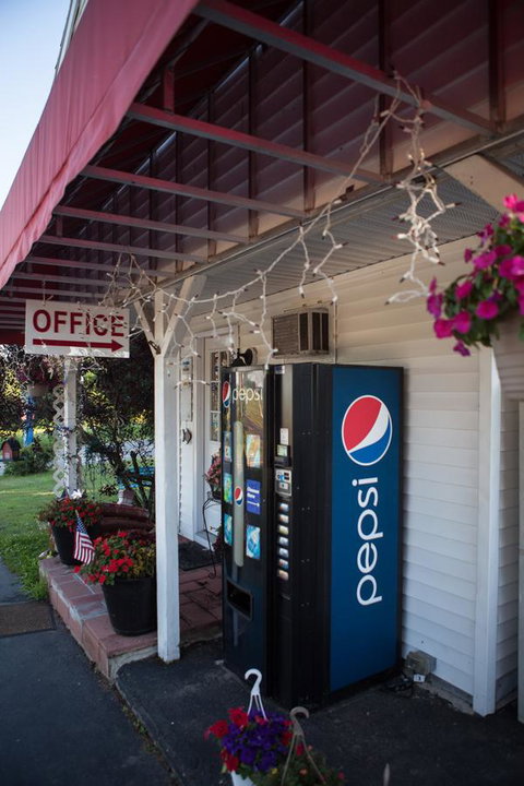 Admiral Motel - Renee 13