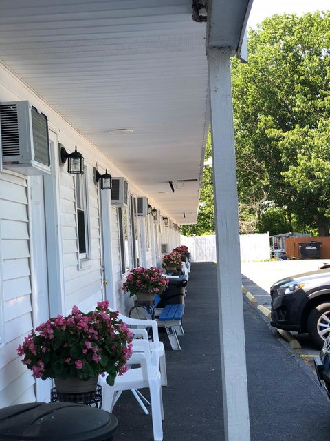 Admiral Motel - Renee 15