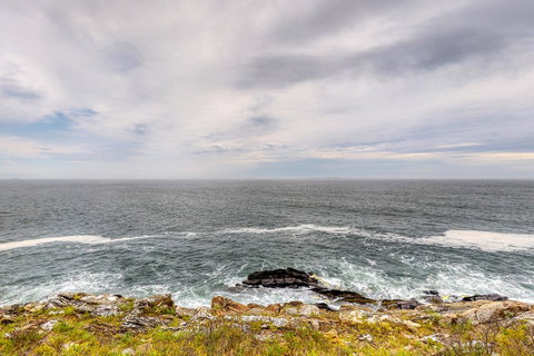 The Seaward - Renee 27