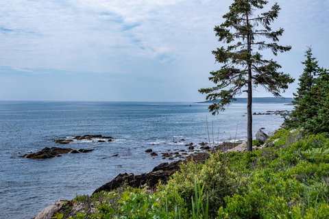 The Seaward - Renee 26