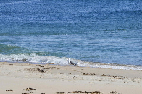 Jordan's Beach House - Renee 33