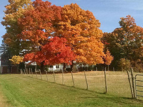 Maple Hill Farm Inn - Internet Find 23