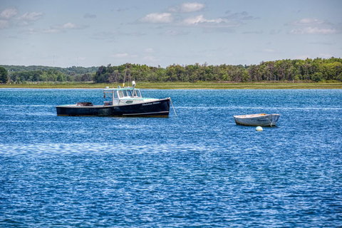 Arbor Lane Delight - Renee 8