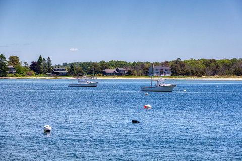 Arbor Lane Delight - Renee 6