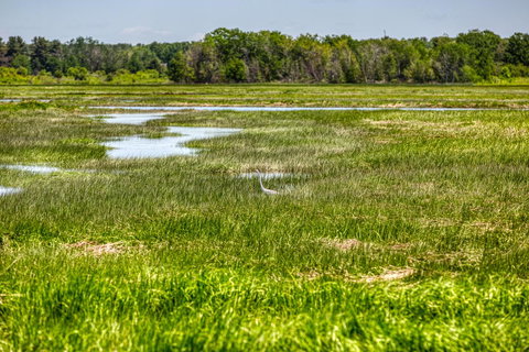 Arbor Lane Delight - Renee 21