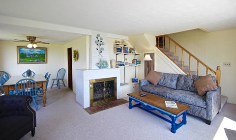 Owls Nest - Internet Find 20