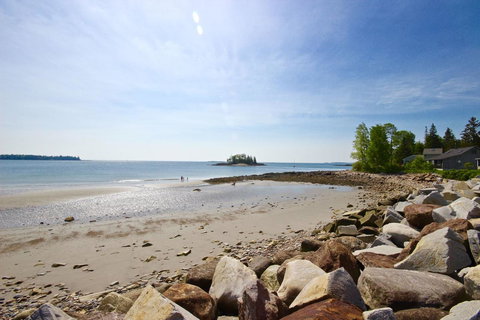 Owls Nest - Internet Find 5