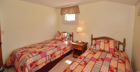 Owls Nest - Internet Find 2