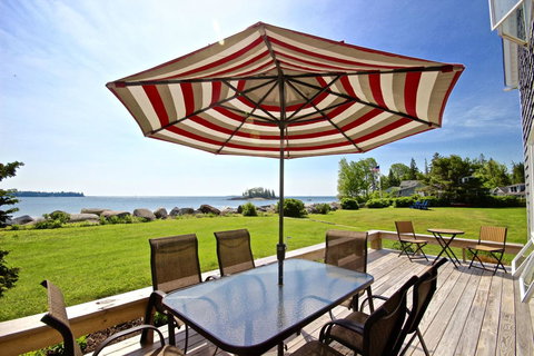 Owls Nest - Internet Find 0