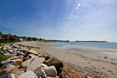 Owls Nest - Internet Find 19