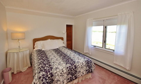 Owls Nest - Internet Find 13