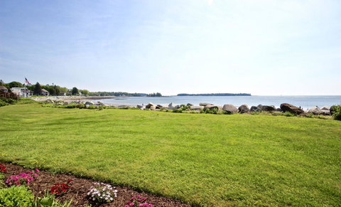 Owls Nest - Internet Find 4