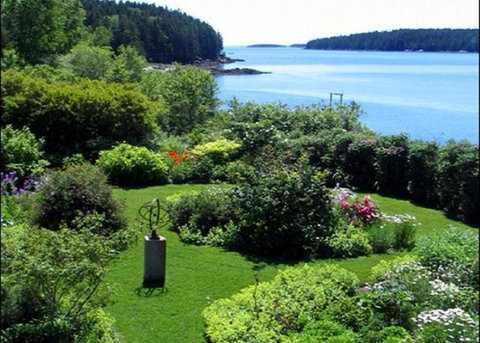 Merry Wisdom - Renee 8