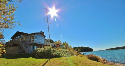 Merry Wisdom - Renee 6