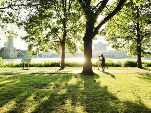 Royal Sonesta Boston - Renee 19