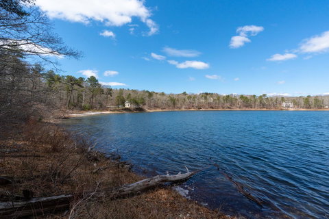 Weeks Pond Charmer - Internet Find 24