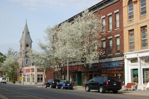 The Barrington - Renee 31