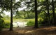 Gateway To Cape Cod Two-Bedroom Park Model 5 - thumb 8