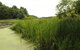 Gateway To Cape Cod Two-Bedroom Park Model 5 - thumb 9