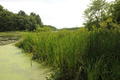 Gateway To Cape Cod Two-Bedroom Park Model 5 - Swimm 9
