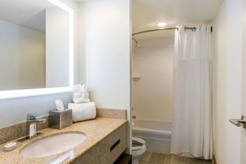 The Grand River Hotel, An Ascend Hotel Collection Member Grand Rapids - Renee 28