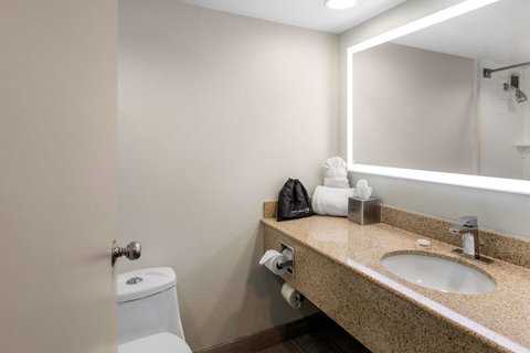 The Grand River Hotel, An Ascend Hotel Collection Member Grand Rapids - Renee 23