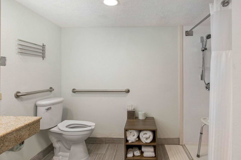 The Grand River Hotel, An Ascend Hotel Collection Member Grand Rapids - Renee 15