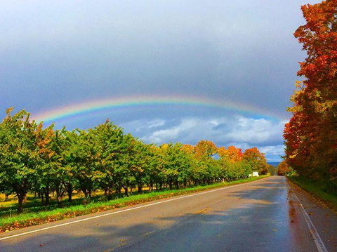 A Breath Of Heaven B&B - Renee 1