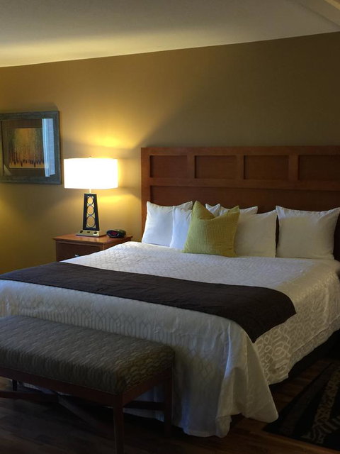 Best Western Plus Bloomington Hotel - Swimm 11