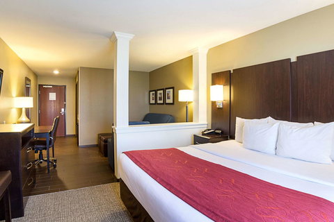 Comfort Suites & Conference Center Worthington - Internet Find 18