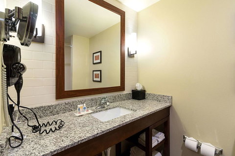 Comfort Suites & Conference Center Worthington - Internet Find 17