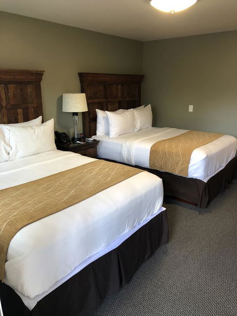 The Roosevelt Hotel - Yellowstone - Renee 15