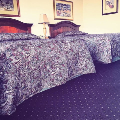 Budget Inn Express Helena - Swimm 13