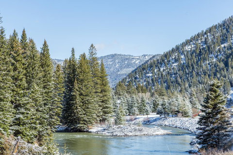 Big Arm Bay Getaway - Renee 1