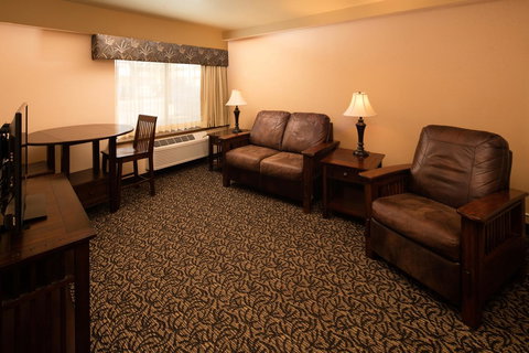 Ramada Plaza By Wyndham Omaha - Renee 22