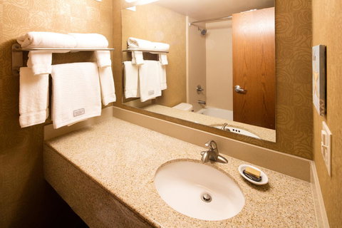 Ramada Plaza By Wyndham Omaha - Renee 31