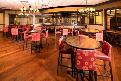 Ramada Plaza By Wyndham Omaha - Renee 42