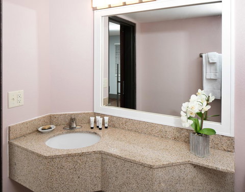 Ramada Plaza By Wyndham Omaha - Renee 30