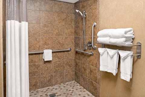 Ramada Plaza By Wyndham Omaha - Renee 44