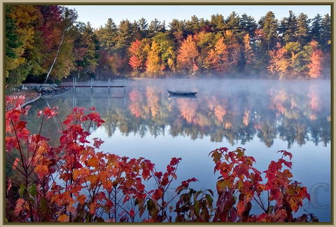The Cottages Of Wolfeboro - Renee 29