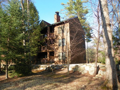 Deer Park 246, North Woodstock - Renee 0