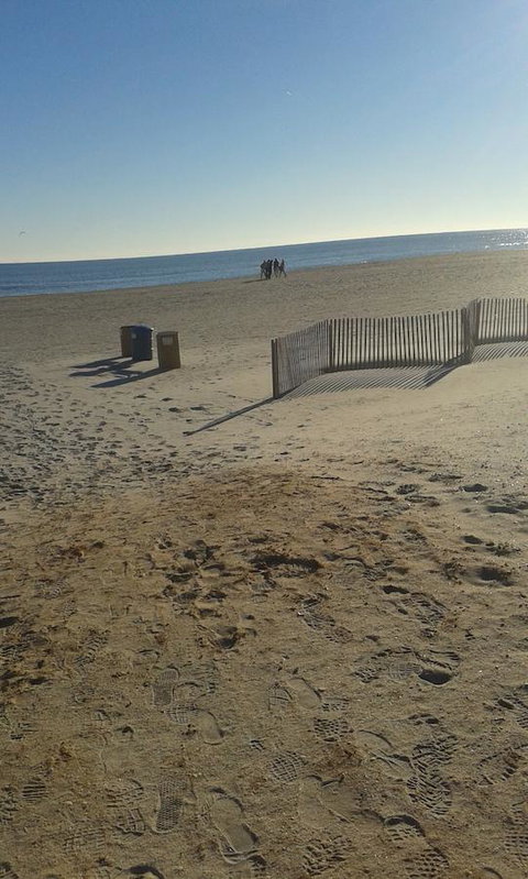 Ocean City Mansion - Internet Find 3