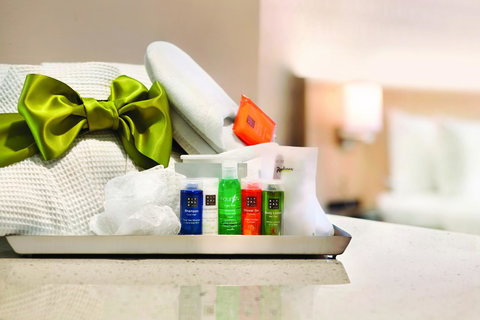 Radisson Hotel Charlotte Airport - Renee 2