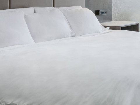 Radisson Hotel Charlotte Airport - Renee 27