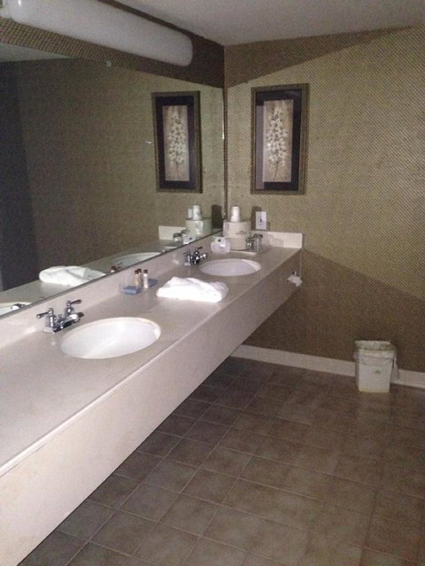 Wingate By Wyndham - Greenville - Renee 21