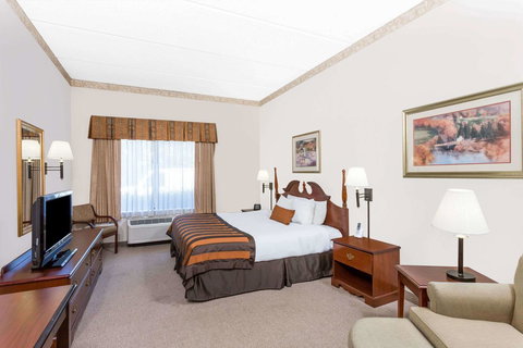 Wingate By Wyndham - Greenville - Renee 44