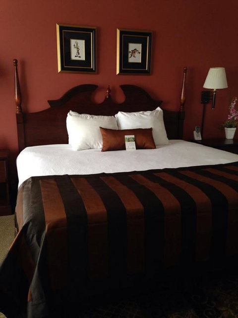 Wingate By Wyndham - Greenville - Renee 33