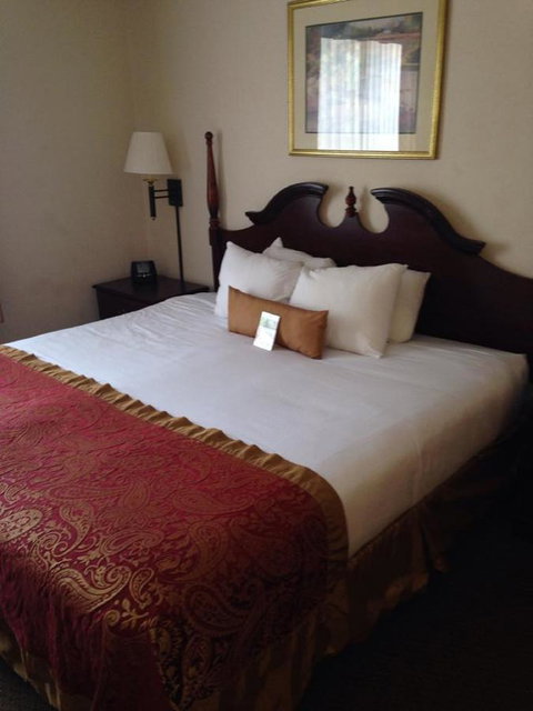 Wingate By Wyndham - Greenville - Renee 28