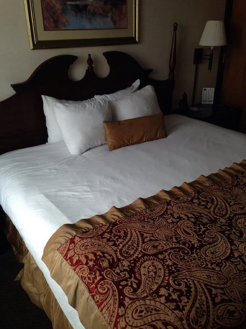 Wingate By Wyndham - Greenville - Renee 26